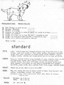 Ancient-Measurement-Document barbet Standard rasy